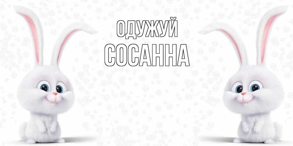 Открытка на каждый день з підписом, Сосанна Одужуй не болей с зайцем Прикольна листівка з побажанням онлайн скачати безкоштовно 