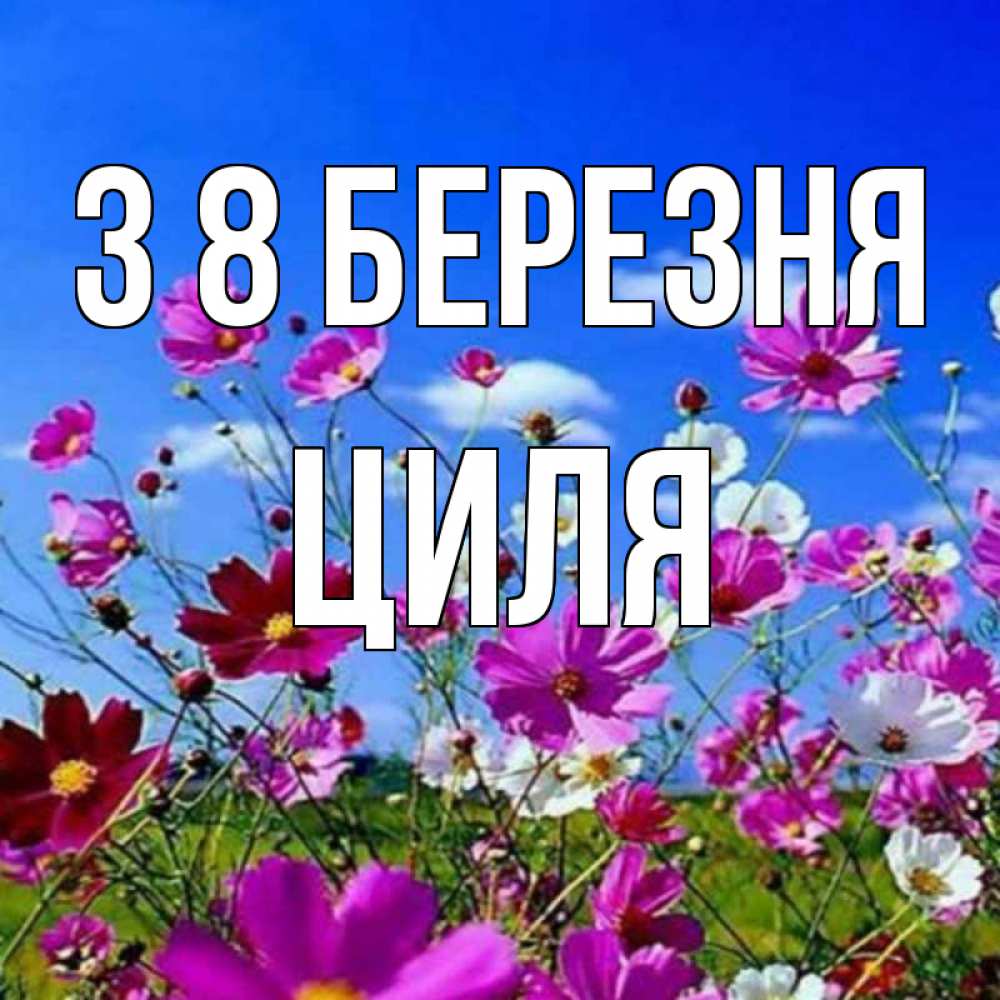 Открытка на каждый день з підписом, Циля З 8 БЕРЕЗНЯ цветы Прикольна листівка з побажанням онлайн скачати безкоштовно 