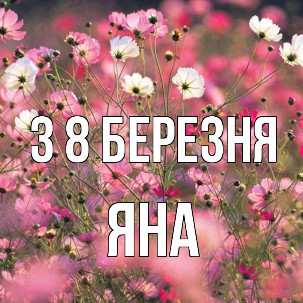 Открытка на каждый день з підписом, Яна З 8 БЕРЕЗНЯ красиво 1 Прикольна листівка з побажанням онлайн скачати безкоштовно 