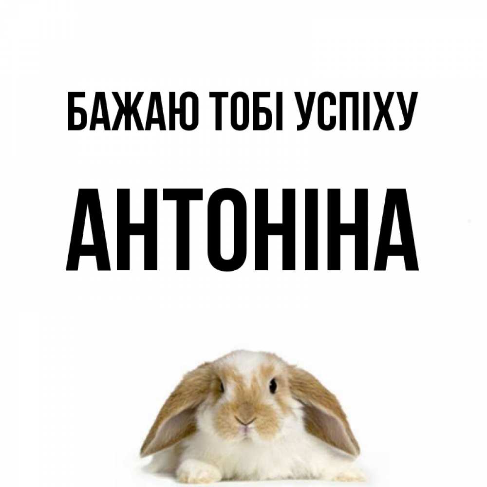 Открытка на каждый день з підписом, Антоніна Бажаю тобі успіху открытки с произвольным текстом который можно вставить в открытку и создать ее самостоятельно бесплатно онлайн Прикольна листівка з побажанням онлайн скачати безкоштовно 