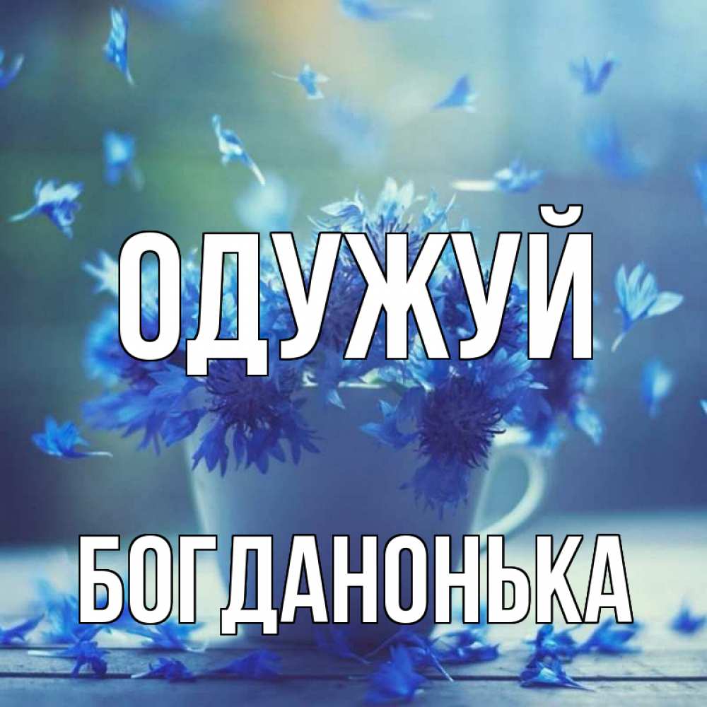 Открытка на каждый день з підписом, Богданонька Одужуй кружка с зельем и цветами Прикольна листівка з побажанням онлайн скачати безкоштовно 