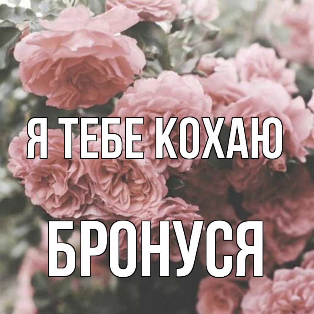 Открытка на каждый день з підписом, Бронуся Я тебе кохаю розы 3 Прикольна листівка з побажанням онлайн скачати безкоштовно 