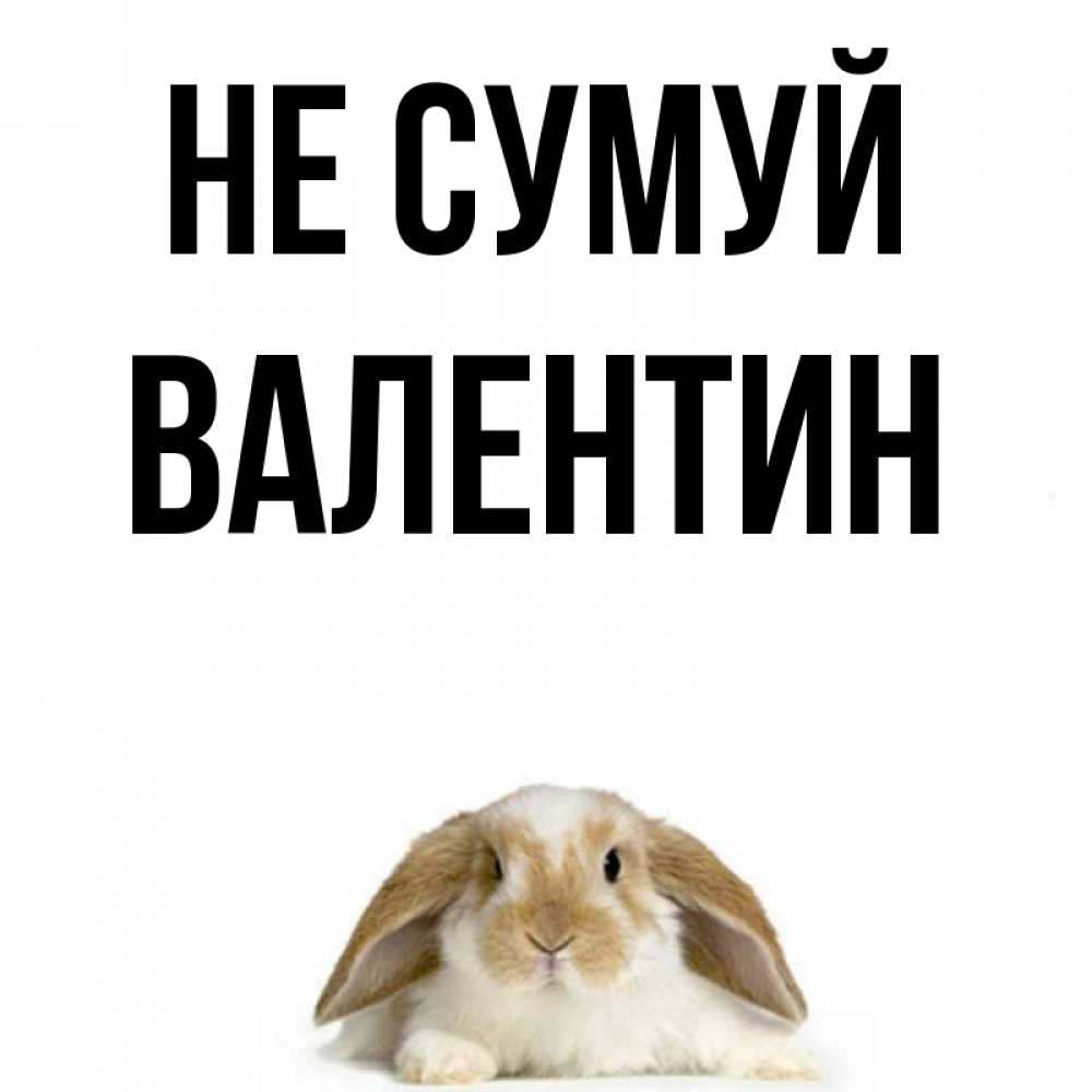 Открытка на каждый день з підписом, Валентин Не сумуй коричнево белый заяц с большими ушками Прикольна листівка з побажанням онлайн скачати безкоштовно 