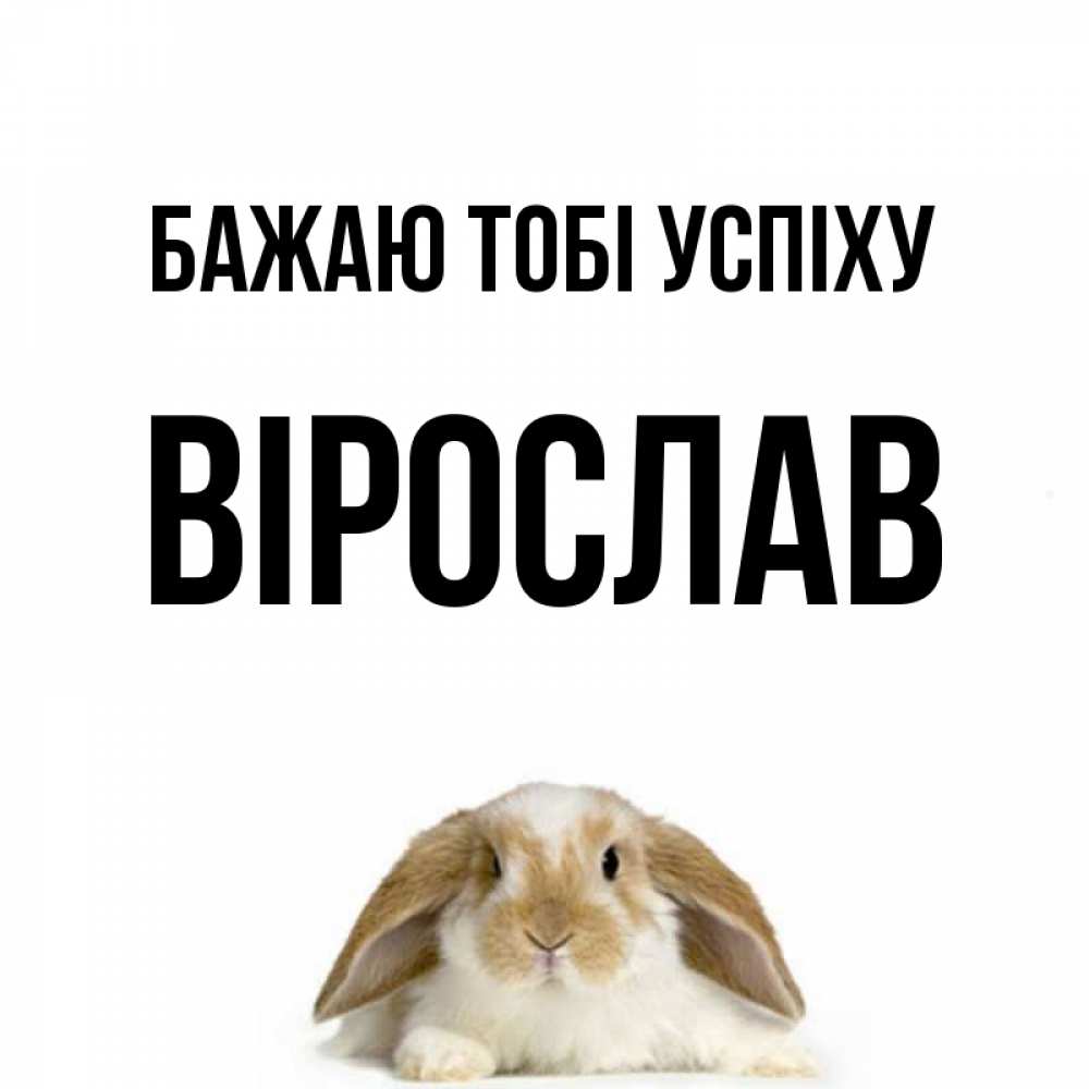 Открытка на каждый день з підписом, Вірослав Бажаю тобі успіху открытки с произвольным текстом который можно вставить в открытку и создать ее самостоятельно бесплатно онлайн Прикольна листівка з побажанням онлайн скачати безкоштовно 