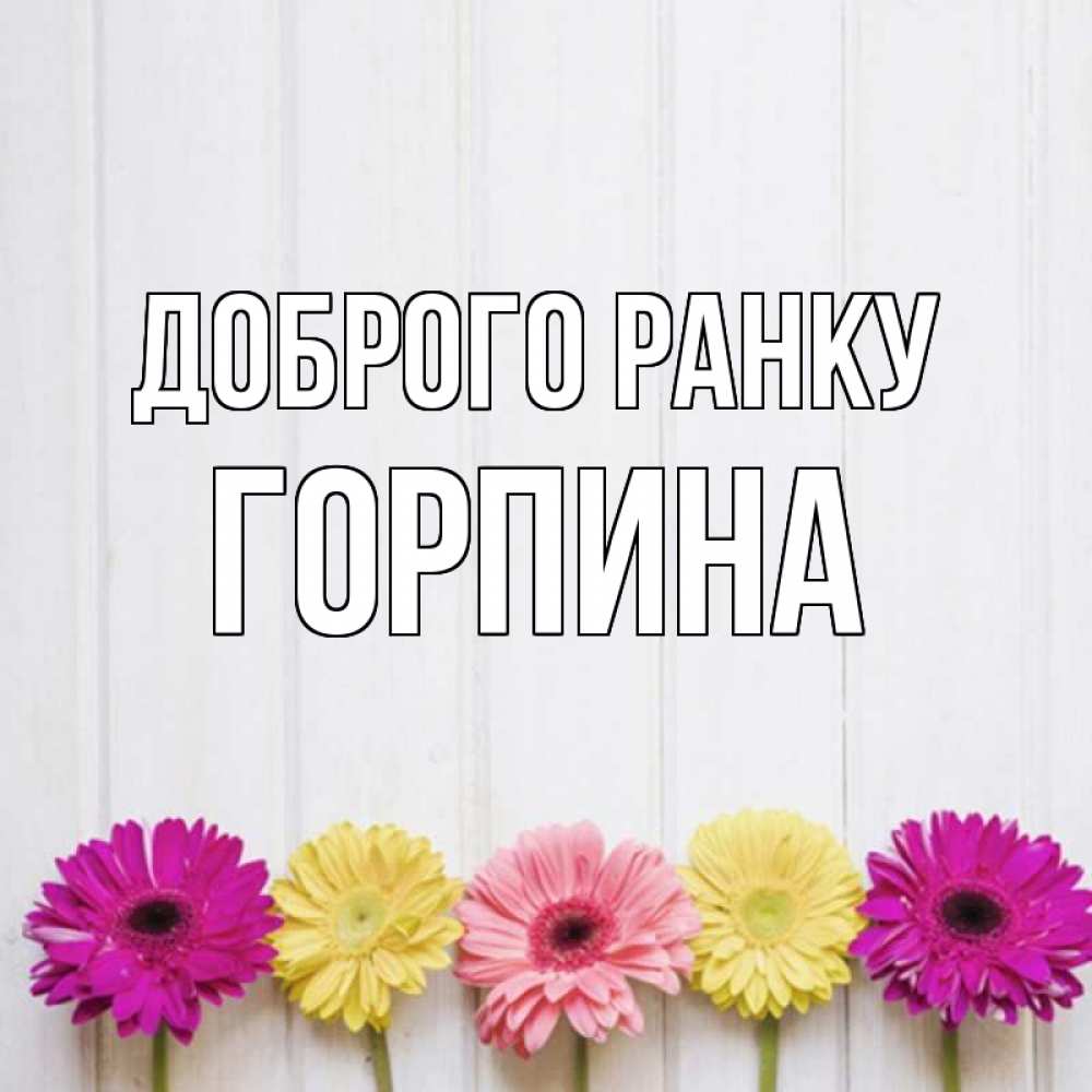 Открытка на каждый день з підписом, Горпина Доброго ранку красный желтый и розовый цветок Прикольна листівка з побажанням онлайн скачати безкоштовно 