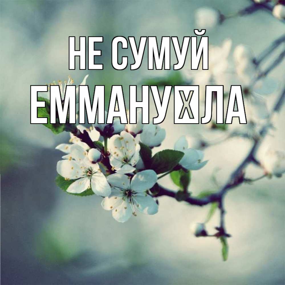 Открытка на каждый день з підписом, Еммануїла Не сумуй яблоня в цвету 1 Прикольна листівка з побажанням онлайн скачати безкоштовно 