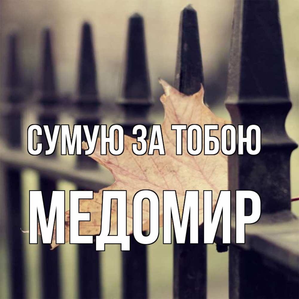 Открытка на каждый день з підписом, Медомир Сумую за тобою очень скучно Прикольна листівка з побажанням онлайн скачати безкоштовно 