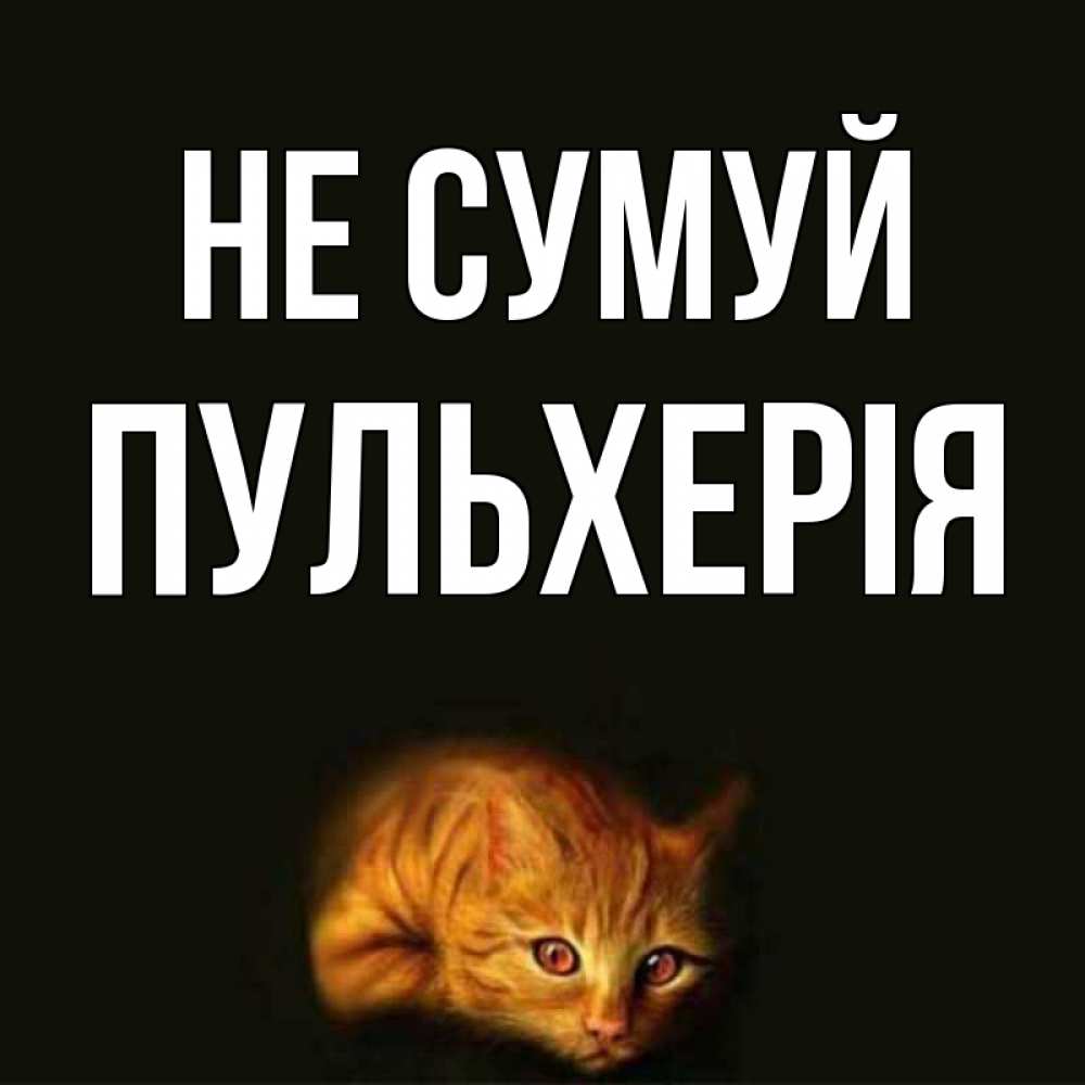 Открытка на каждый день з підписом, Пульхерія Не сумуй лежащий кот в темноте Прикольна листівка з побажанням онлайн скачати безкоштовно 