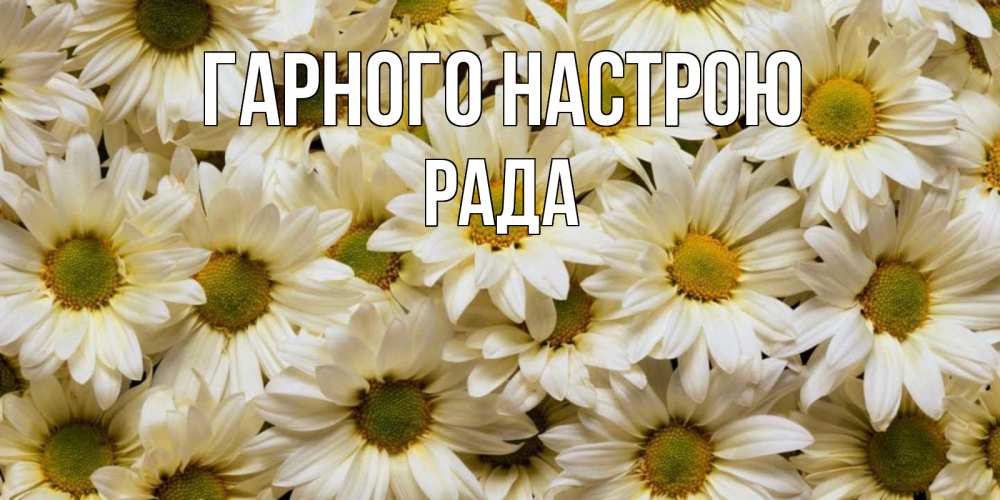 Открытка на каждый день з підписом, Рада Гарного настрою крупные ромашки Прикольна листівка з побажанням онлайн скачати безкоштовно 