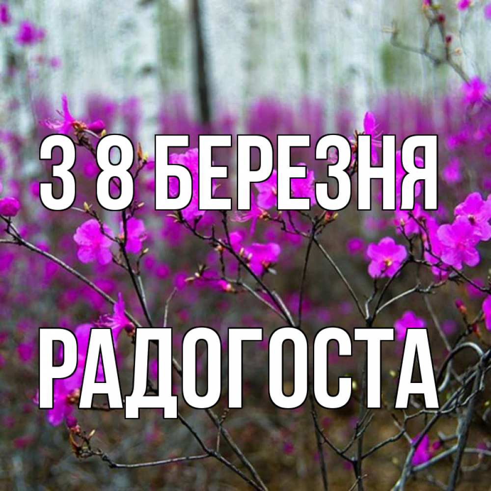 Открытка на каждый день з підписом, Радогоста З 8 БЕРЕЗНЯ дикие цветы Прикольна листівка з побажанням онлайн скачати безкоштовно 