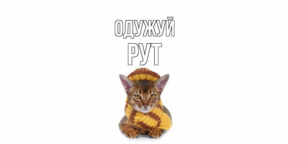 Открытка на каждый день з підписом, Рут Одужуй родные не болейте Прикольна листівка з побажанням онлайн скачати безкоштовно 