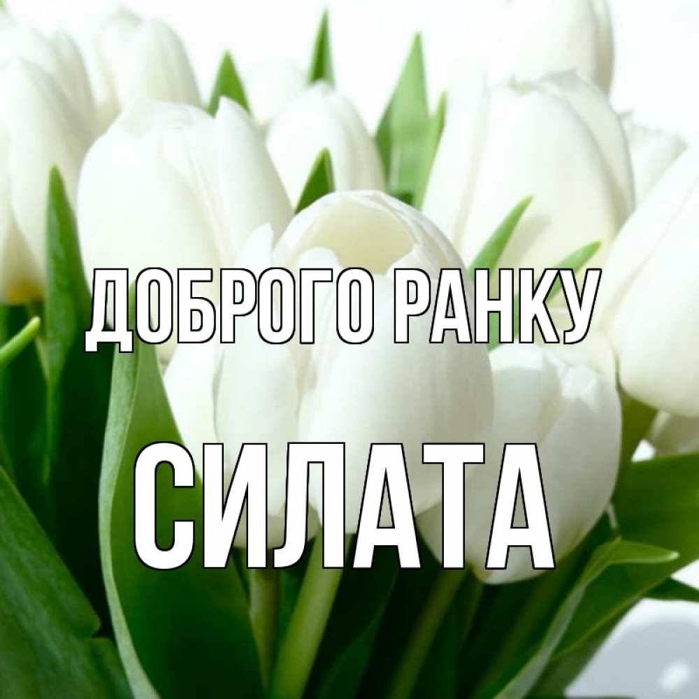 Открытка на каждый день з підписом, Силата Доброго ранку открытки на каждый день по именам Прикольна листівка з побажанням онлайн скачати безкоштовно 