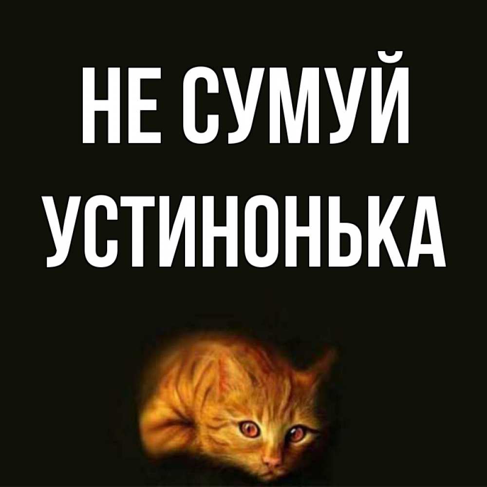 Открытка на каждый день з підписом, Устинонька Не сумуй лежащий кот в темноте Прикольна листівка з побажанням онлайн скачати безкоштовно 