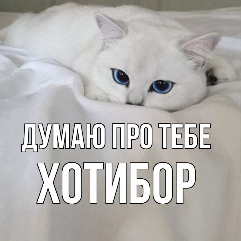 Открытка на каждый день з підписом, Хотибор Думаю про тебе я очень по тебе скучаю и тоскую Прикольна листівка з побажанням онлайн скачати безкоштовно 
