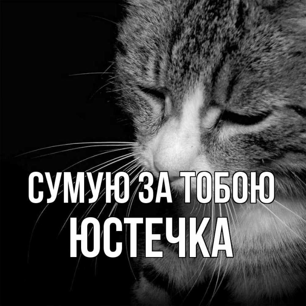 Открытка на каждый день з підписом, Юстечка Сумую за тобою мне скучно Прикольна листівка з побажанням онлайн скачати безкоштовно 