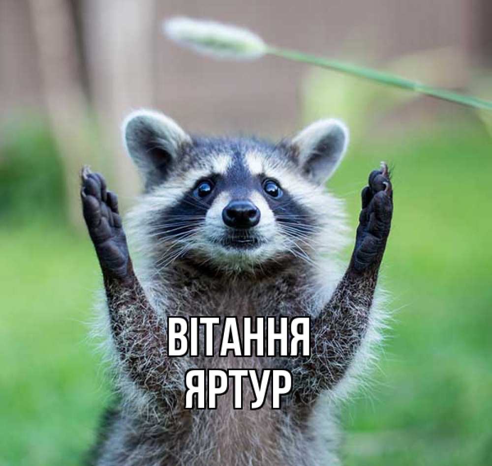 Открытка на каждый день з підписом, Яртур Вітання животные Прикольна листівка з побажанням онлайн скачати безкоштовно 