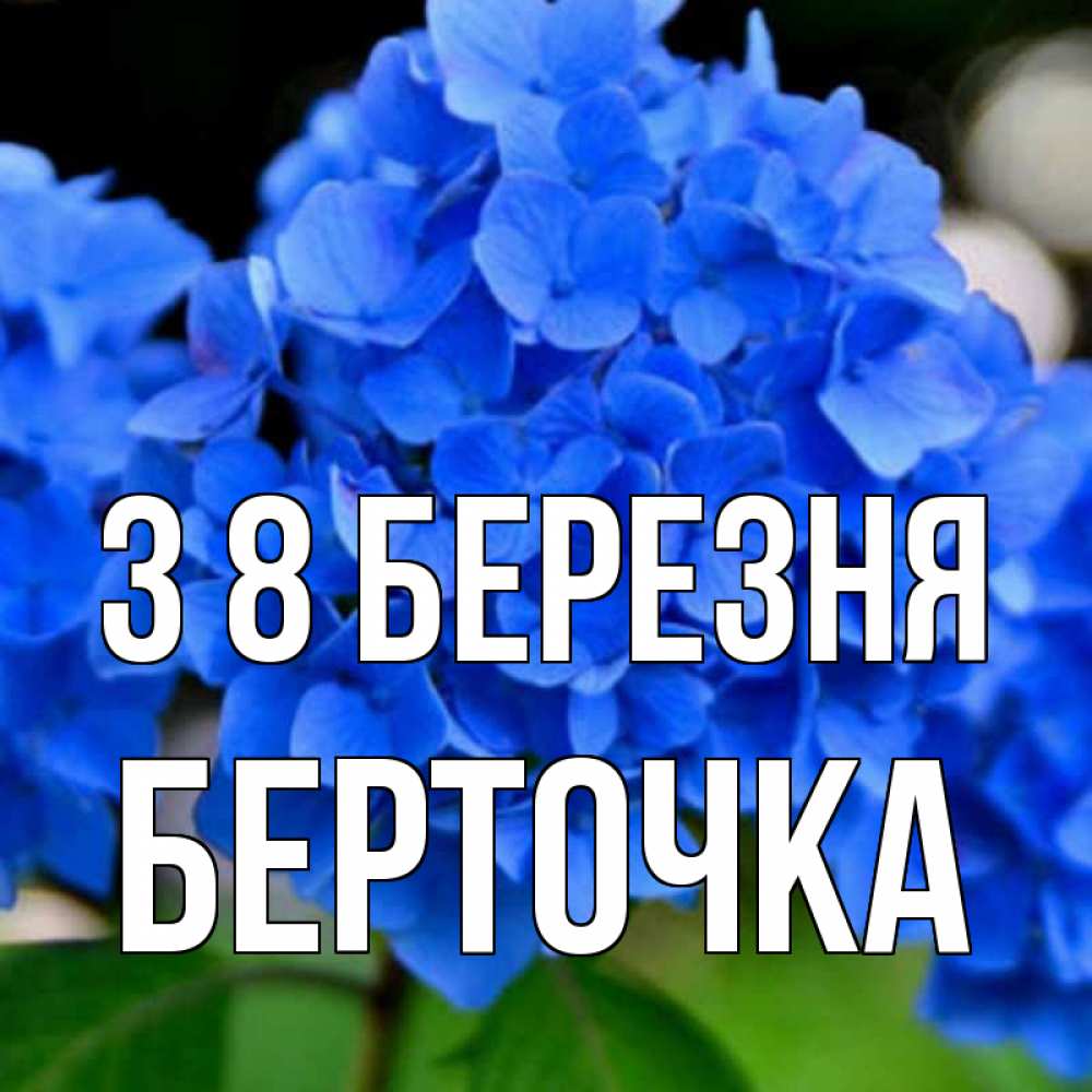 Открытка на каждый день з підписом, Берточка З 8 БЕРЕЗНЯ синие цветы Прикольна листівка з побажанням онлайн скачати безкоштовно 