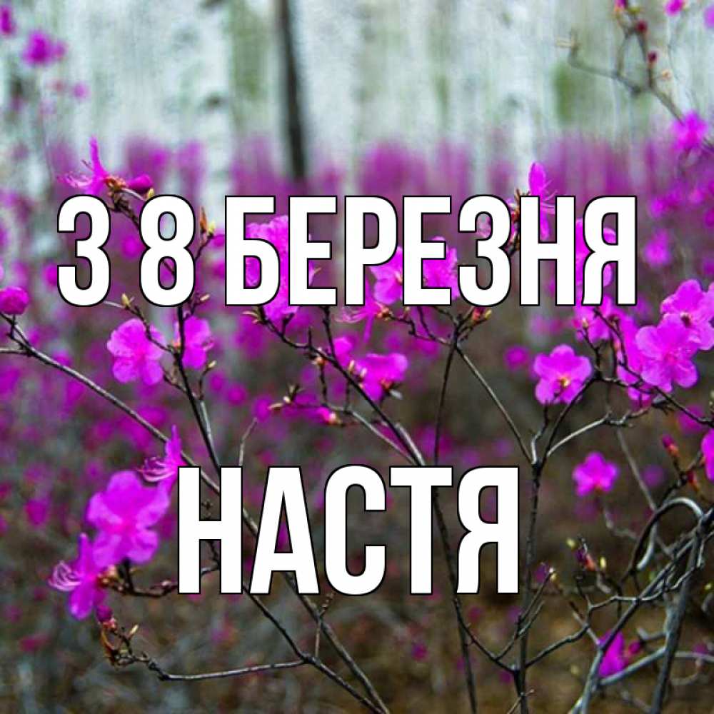 Открытка на каждый день з підписом, Настя З 8 БЕРЕЗНЯ дикие цветы Прикольна листівка з побажанням онлайн скачати безкоштовно 