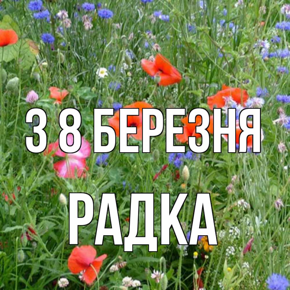 Открытка на каждый день з підписом, Радка З 8 БЕРЕЗНЯ международный женский день 4 Прикольна листівка з побажанням онлайн скачати безкоштовно 