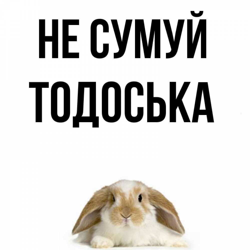 Открытка на каждый день з підписом, Тодоська Не сумуй коричнево белый заяц с большими ушками Прикольна листівка з побажанням онлайн скачати безкоштовно 
