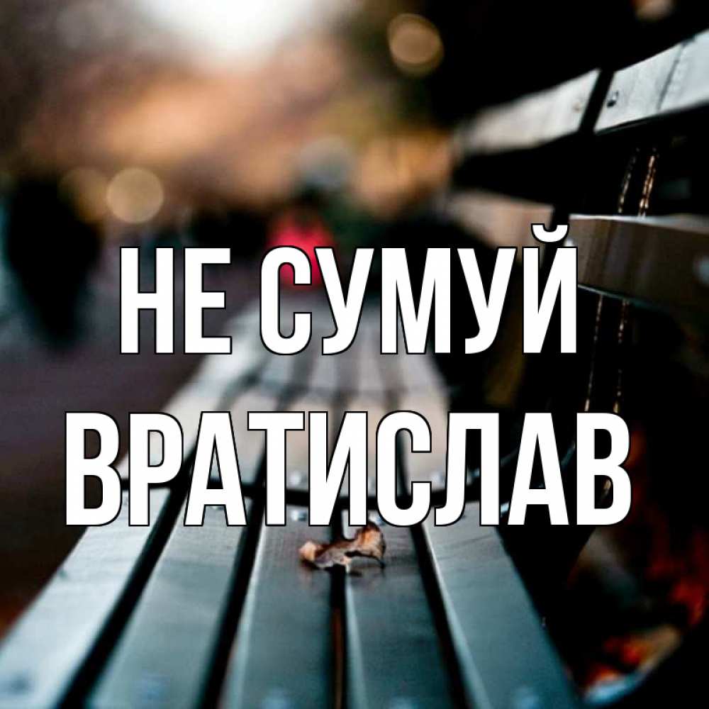 Открытка на каждый день з підписом, Вратислав Не сумуй размытый фон Прикольна листівка з побажанням онлайн скачати безкоштовно 