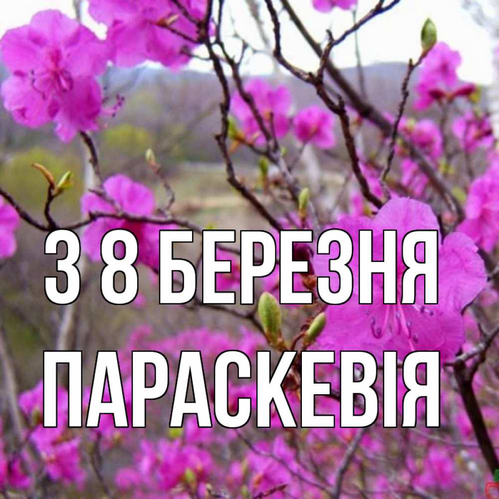 Открытка на каждый день з підписом, Параскевія З 8 БЕРЕЗНЯ международный женский день Прикольна листівка з побажанням онлайн скачати безкоштовно 