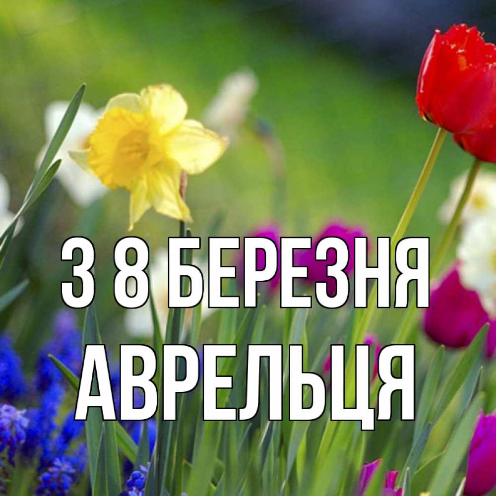 Открытка на каждый день з підписом, Аврельця З 8 БЕРЕЗНЯ международный женский день 3 Прикольна листівка з побажанням онлайн скачати безкоштовно 