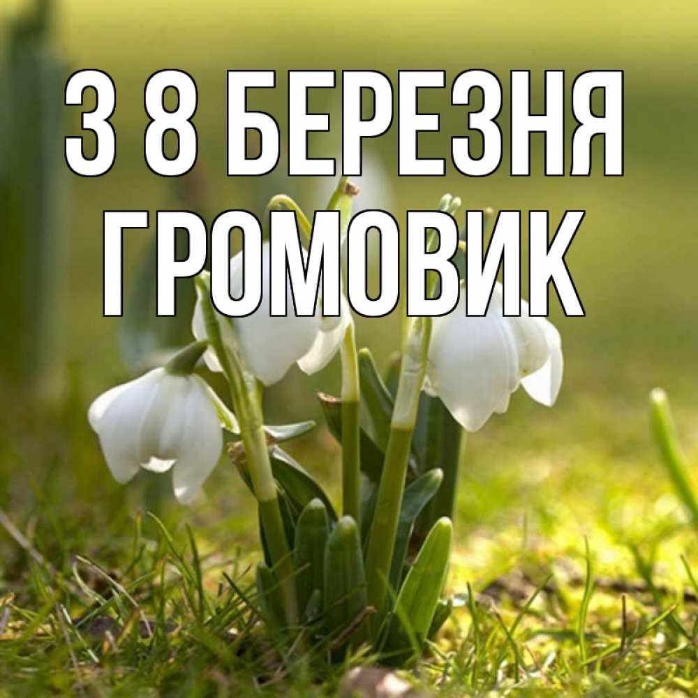 Открытка на каждый день з підписом, Громовик З 8 БЕРЕЗНЯ ранние цветы 2 Прикольна листівка з побажанням онлайн скачати безкоштовно 