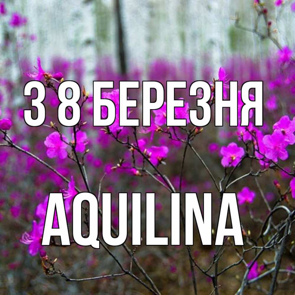 Открытка на каждый день з підписом, Aquilina З 8 БЕРЕЗНЯ дикие цветы Прикольна листівка з побажанням онлайн скачати безкоштовно 