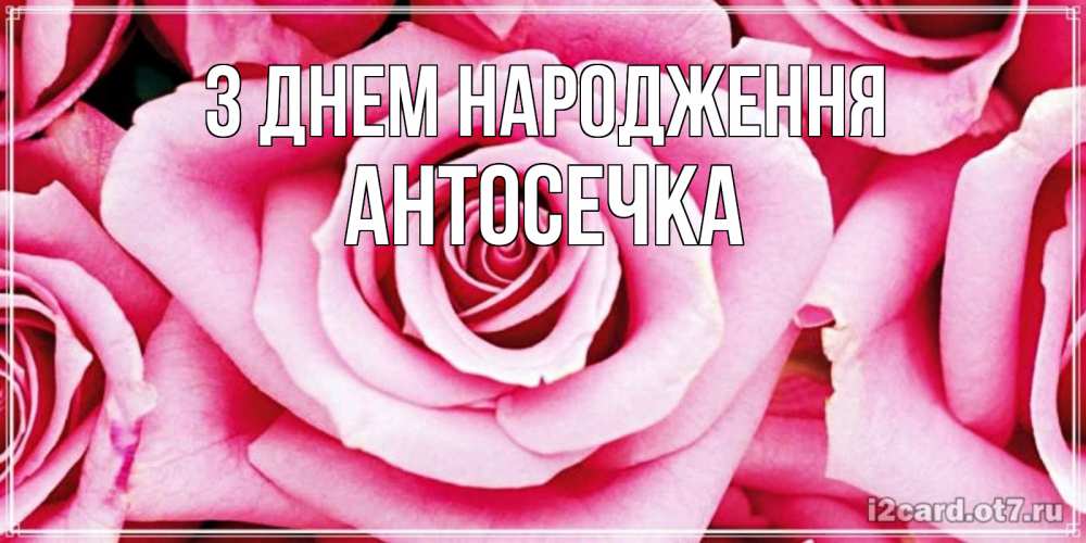 Открытка на каждый день з підписом, Антосечка З Днем народження открытка с розовой розой на день рождения Прикольна листівка з побажанням онлайн скачати безкоштовно 
