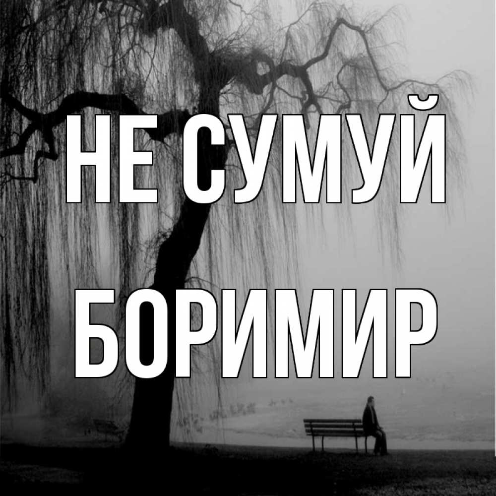 Открытка на каждый день з підписом, Боримир Не сумуй висящие ветки дерева и лавочка под деревом Прикольна листівка з побажанням онлайн скачати безкоштовно 