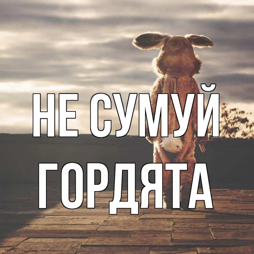 Открытка на каждый день з підписом, Гордята Не сумуй со спины Прикольна листівка з побажанням онлайн скачати безкоштовно 