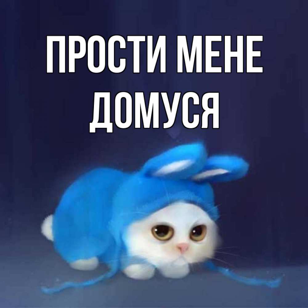 Открытка на каждый день з підписом, Домуся Прости мене невинный котозай просит прощения Прикольна листівка з побажанням онлайн скачати безкоштовно 