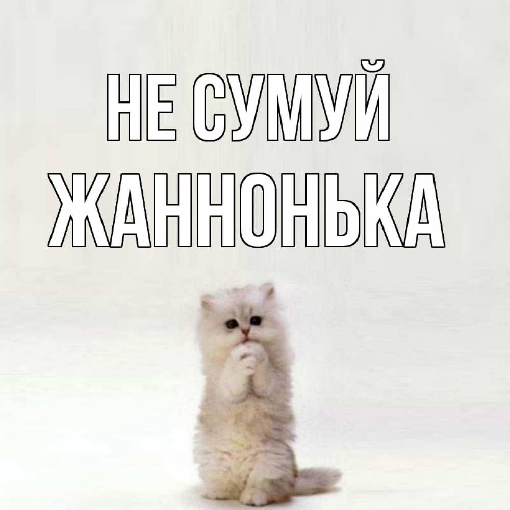 Открытка на каждый день з підписом, Жаннонька Не сумуй грустный кот Прикольна листівка з побажанням онлайн скачати безкоштовно 