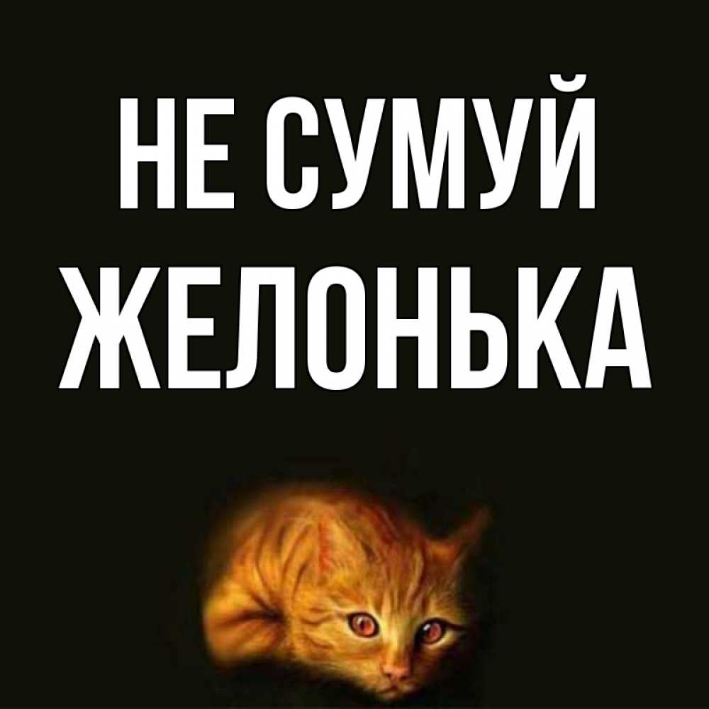 Открытка на каждый день з підписом, Желонька Не сумуй лежащий кот в темноте Прикольна листівка з побажанням онлайн скачати безкоштовно 