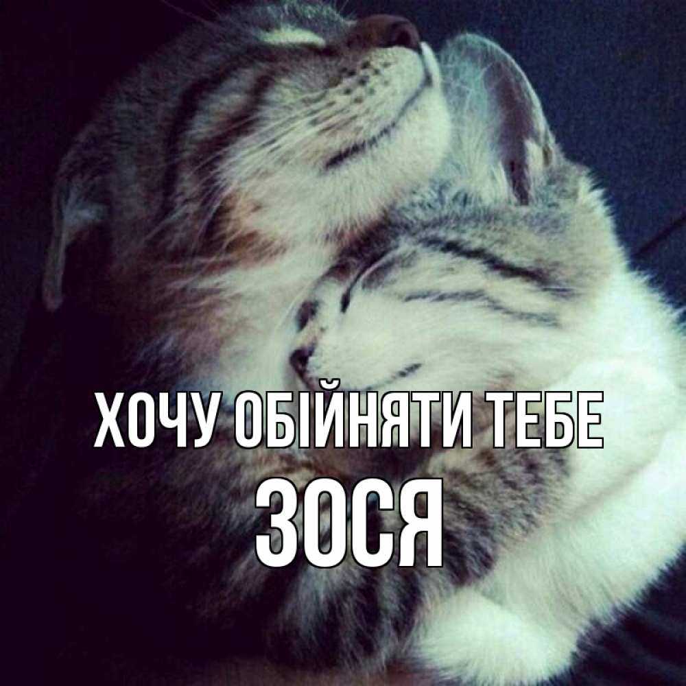 Открытка на каждый день з підписом, Зося Хочу обійняти тебе полосатики Прикольна листівка з побажанням онлайн скачати безкоштовно 