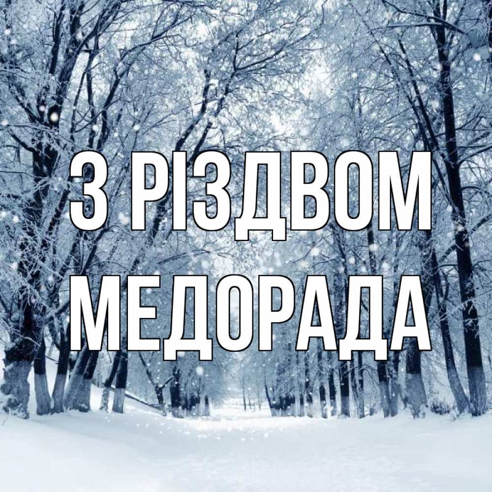 Открытка на каждый день з підписом, Медорада З Різдвом снег, лес, парк Прикольна листівка з побажанням онлайн скачати безкоштовно 