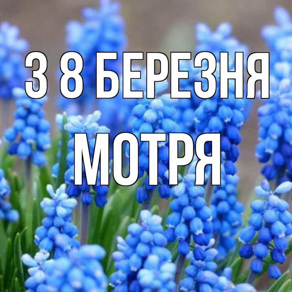 Открытка на каждый день з підписом, Мотря З 8 БЕРЕЗНЯ Поздравительная открытка для женщин с цветами на праздничную дату Прикольна листівка з побажанням онлайн скачати безкоштовно 