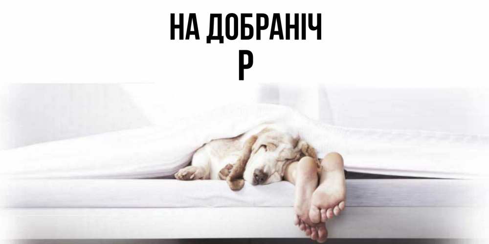 Открытка на каждый день з підписом, Р На добраніч кровать с собакой пожелание сладких снов и спокойной ночи Прикольна листівка з побажанням онлайн скачати безкоштовно 