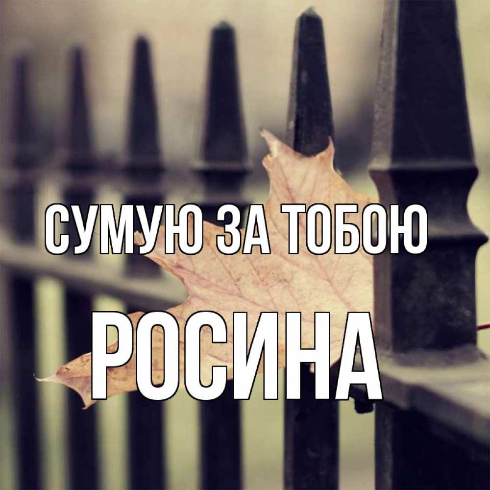 Открытка на каждый день з підписом, Росина Сумую за тобою очень скучно Прикольна листівка з побажанням онлайн скачати безкоштовно 