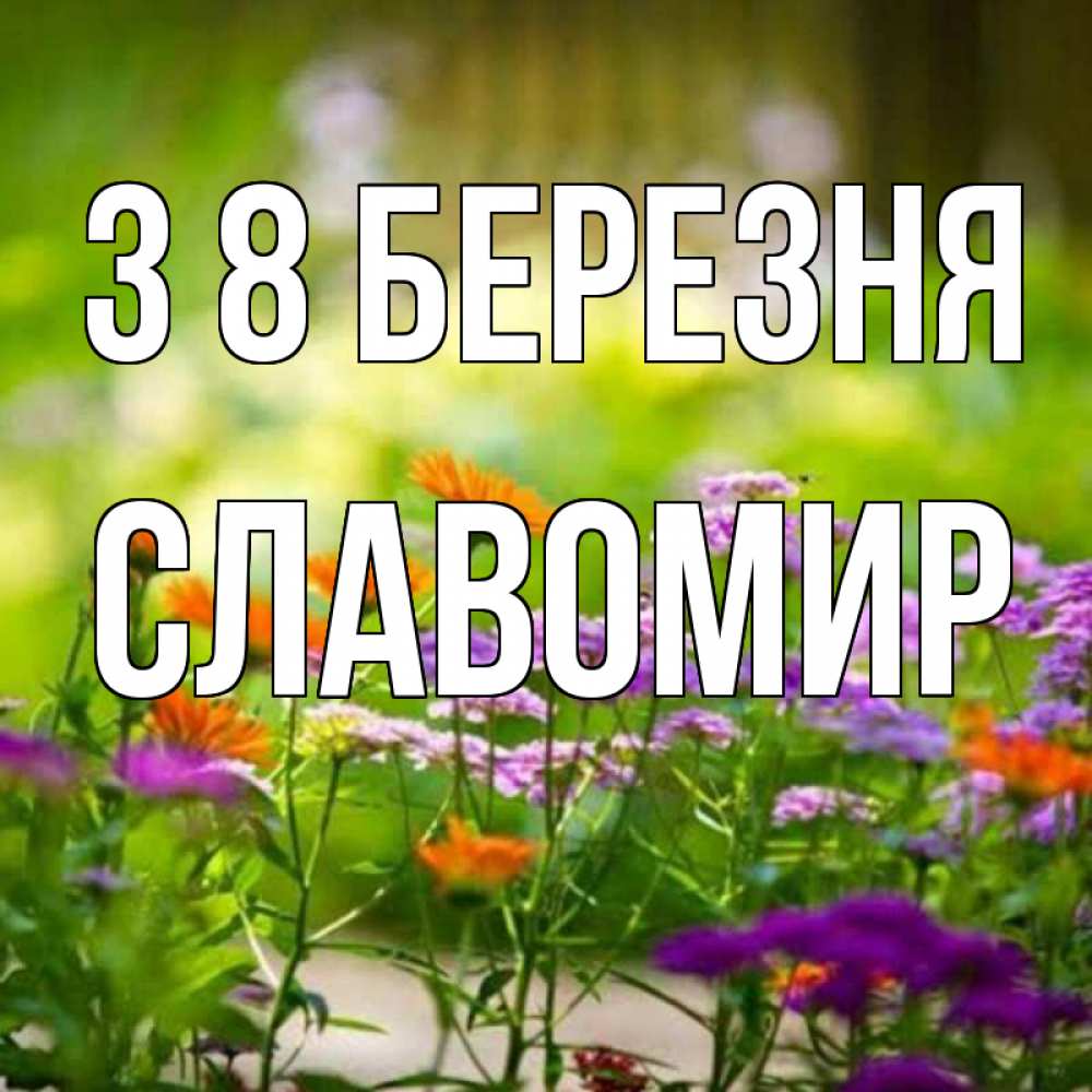 Открытка на каждый день з підписом, Славомир З 8 БЕРЕЗНЯ цветы Прикольна листівка з побажанням онлайн скачати безкоштовно 