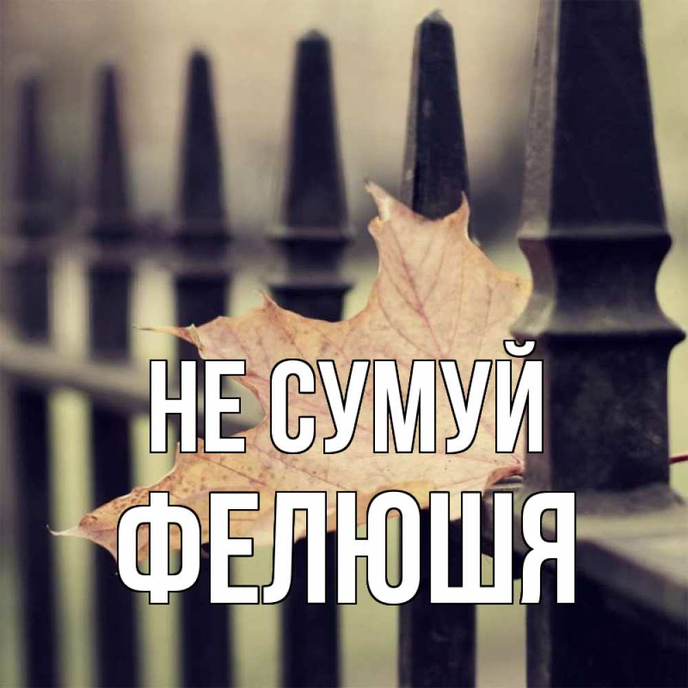 Открытка на каждый день з підписом, Фелюшя Не сумуй лист клена Прикольна листівка з побажанням онлайн скачати безкоштовно 