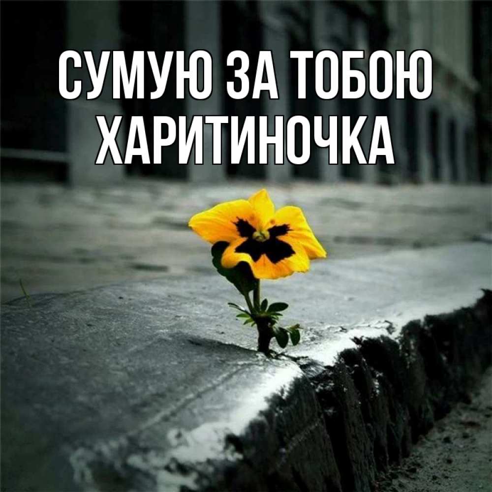 Открытка на каждый день з підписом, Харитиночка Сумую за тобою надеюсь будет лучше Прикольна листівка з побажанням онлайн скачати безкоштовно 