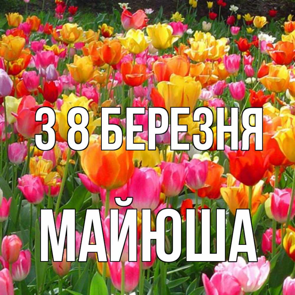 Открытка на каждый день з підписом, Майюша З 8 БЕРЕЗНЯ на международный женский день Прикольна листівка з побажанням онлайн скачати безкоштовно 
