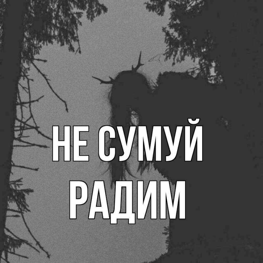 Открытка на каждый день з підписом, Радим Не сумуй чудище лесное Прикольна листівка з побажанням онлайн скачати безкоштовно 