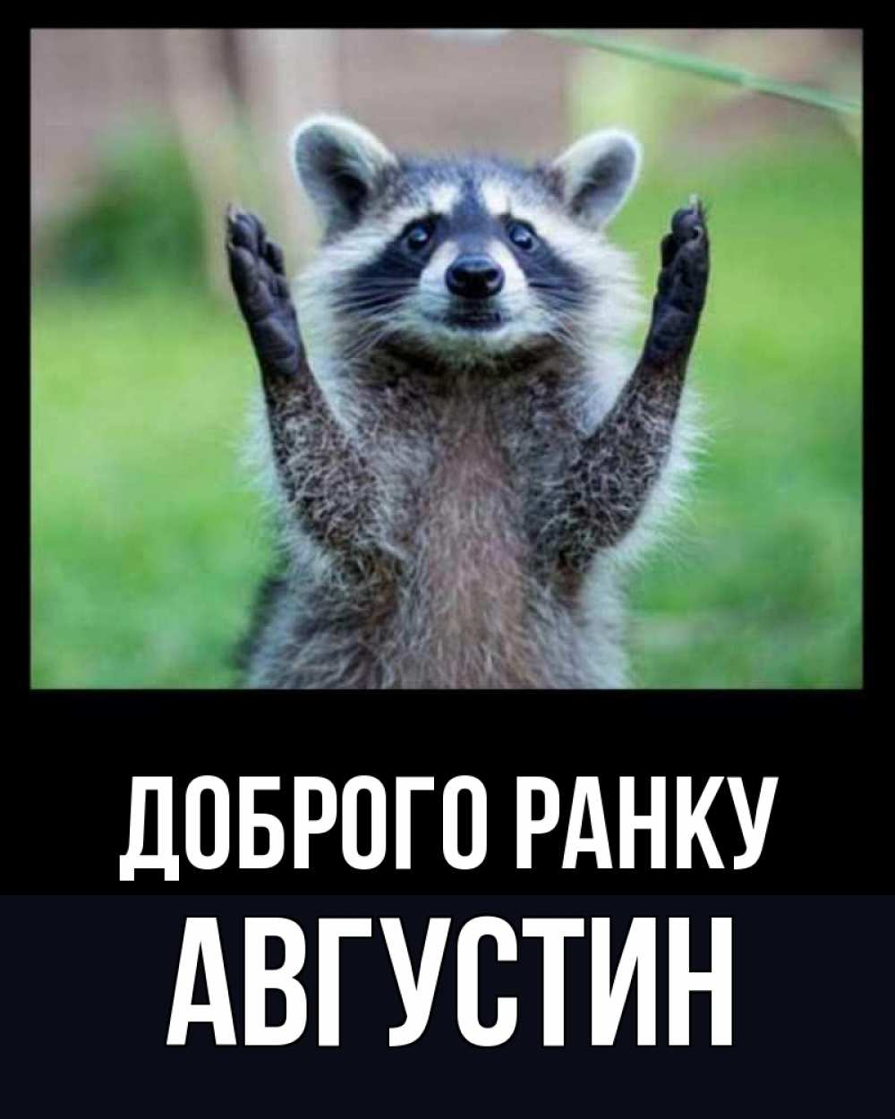 Открытка на каждый день з підписом, Августин Доброго ранку хорошее настроение утречком Прикольна листівка з побажанням онлайн скачати безкоштовно 
