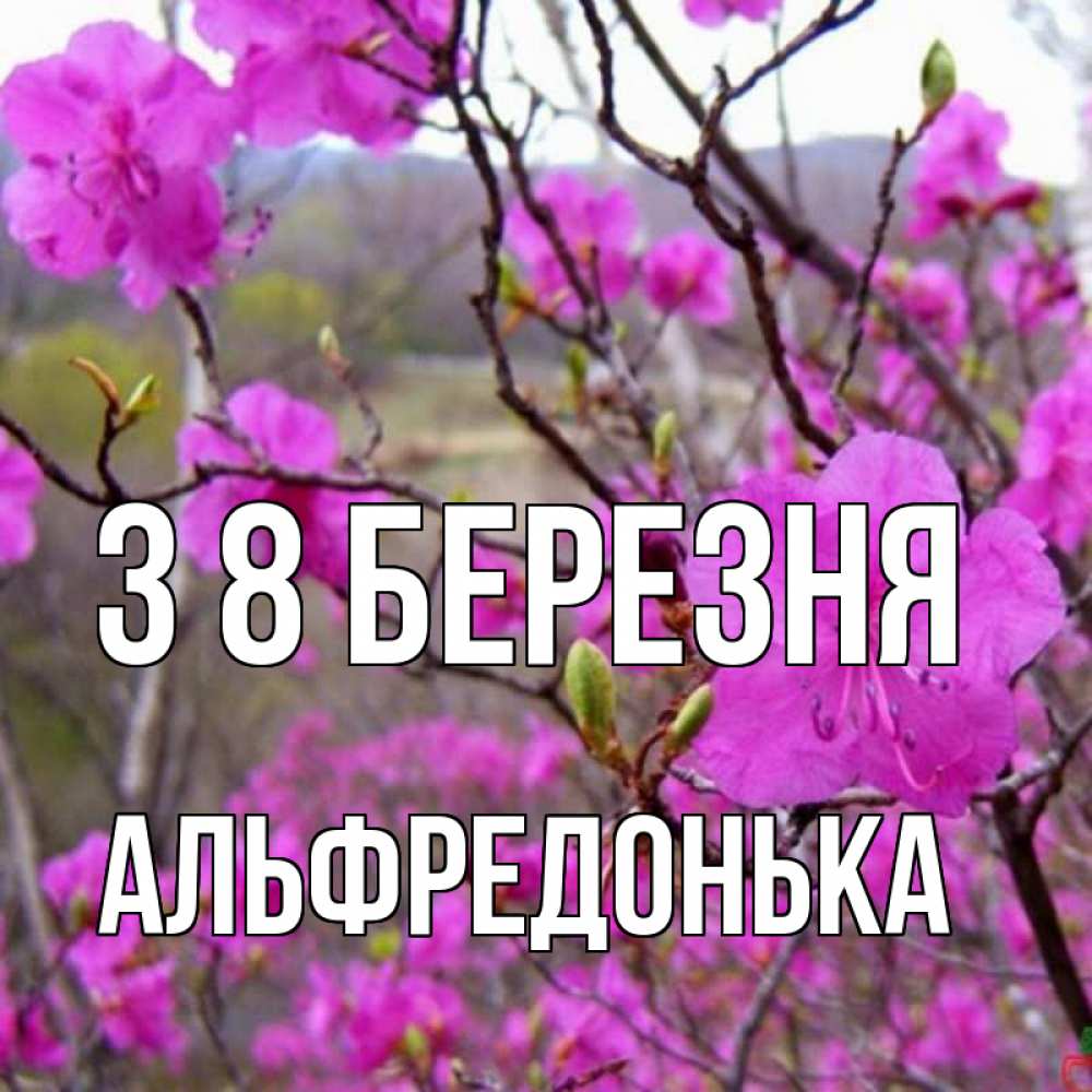 Открытка на каждый день з підписом, Альфредонька З 8 БЕРЕЗНЯ международный женский день Прикольна листівка з побажанням онлайн скачати безкоштовно 