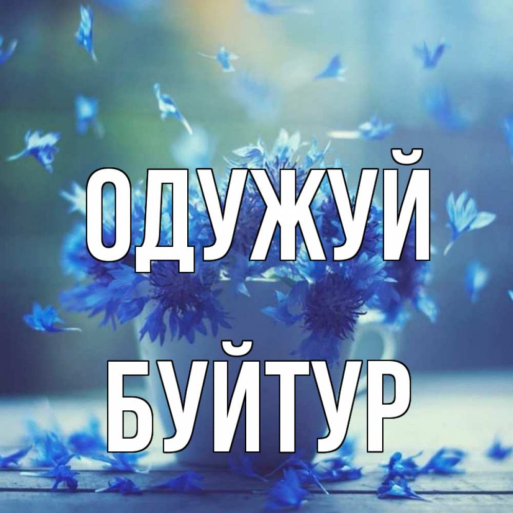 Открытка на каждый день з підписом, Буйтур Одужуй кружка с зельем и цветами Прикольна листівка з побажанням онлайн скачати безкоштовно 