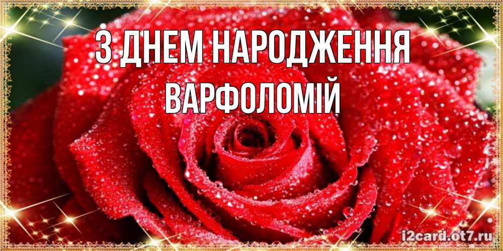 Открытка на каждый день з підписом, Варфоломій З Днем народження роса и роза. открытка с красивой розой Прикольна листівка з побажанням онлайн скачати безкоштовно 