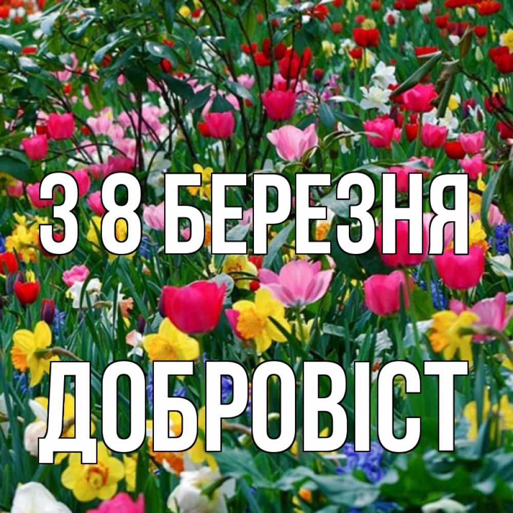 Открытка на каждый день з підписом, Добровіст З 8 БЕРЕЗНЯ с международным женским днем поздравления для женщины Прикольна листівка з побажанням онлайн скачати безкоштовно 